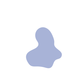 C47a6783-placeholder-1769998727