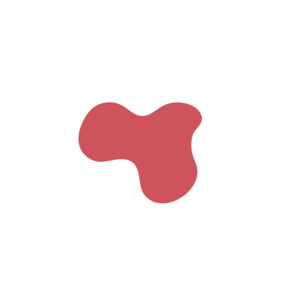 C1957405-placeholder-1770012515