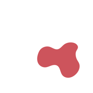 9d79141a-placeholder-1770018118