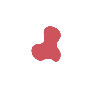 B0da2e23-placeholder-1770014150