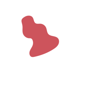 76a6d8b2-placeholder-1770013632