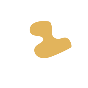 Fd56ad22-placeholder-1770011841