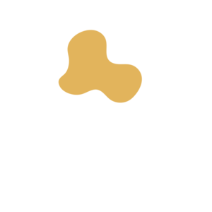 4860aad8-placeholder-1770014709