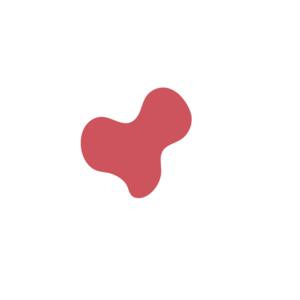 31540ef0-placeholder-1770004948