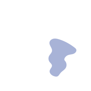 870028d4-placeholder-1770013610