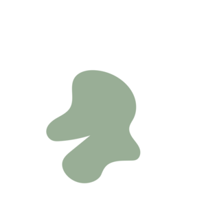 B0dbbd8b-placeholder-1770011303