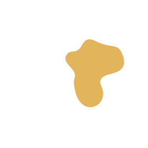 D931ee29-placeholder-1770011304