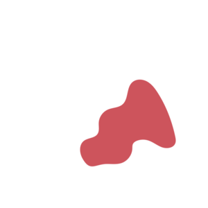 6c942e95-placeholder-1769998732