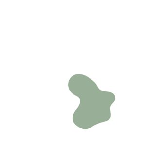 85ea37de-placeholder-1770011403