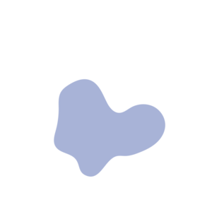 Ccc88ffe-placeholder-1770050810