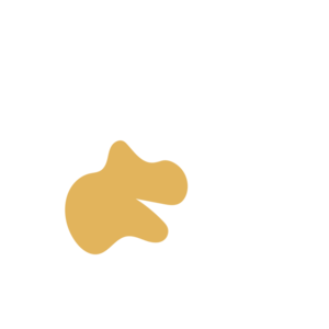 31a81fe9-placeholder-1770014935