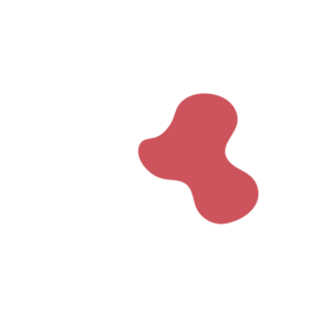 2d53e59d-placeholder-1770006479