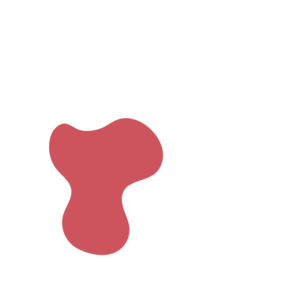 664716da-placeholder-1770025506