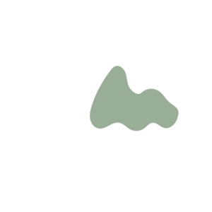 1ac9dc76-placeholder-1770015106