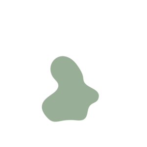 0fb56a44-placeholder-1770006269