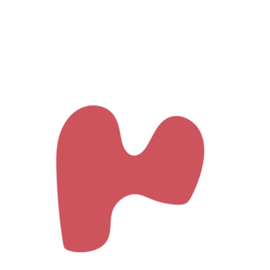 B505edf1-placeholder-1770026988