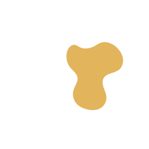 D9f0aa3e-placeholder-1770025947