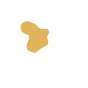 308a56b0-placeholder-1769995483