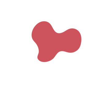 3171a1d2-placeholder-1770054915