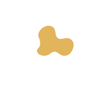 56ddcd7f-placeholder-1770006278