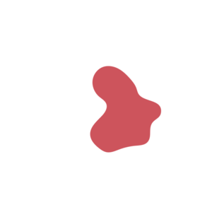 Ba0e8237-placeholder-1770007194