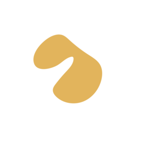 8333f2fe-placeholder-1770019086