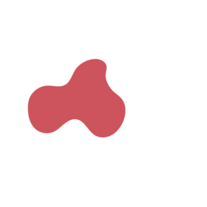 521a7a21-placeholder-1770028746