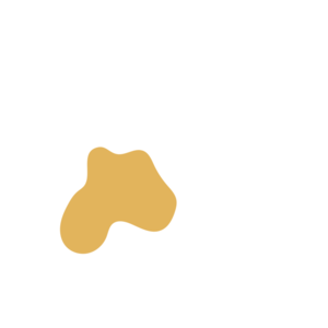 Db4f8fb4-placeholder-1770015928