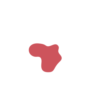 4cd50e3c-placeholder-1770039784