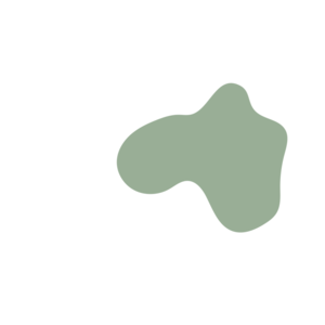 6a66d93c-placeholder-1770009645