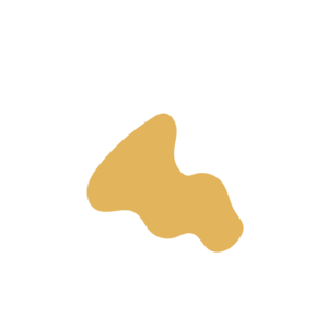 71f0b4ff-placeholder-1770011457