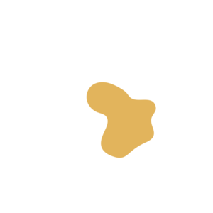 7e05c692-placeholder-1770021181