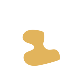 1d1f15e5-placeholder-1770030639