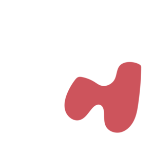 B136f65e-placeholder-1770053285