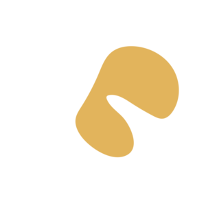 6307a12d-placeholder-1769101789