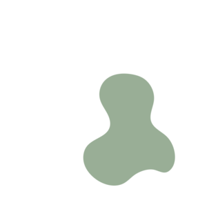 B44c236d-placeholder-1770039782