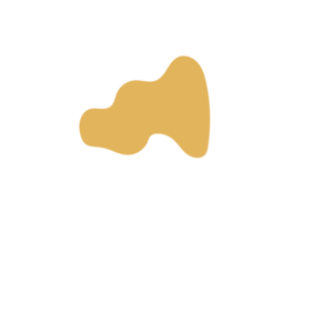 B7488cdd-placeholder-1770032274