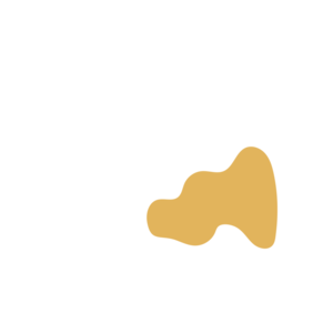 43840784-placeholder-1770023653