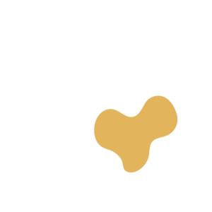 1a9b0597-placeholder-1770021310