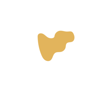 F84382f0-placeholder-1770009158