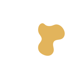 6fcea58a-placeholder-1770006304