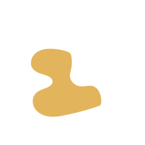 F1ad4f62-placeholder-1770012655