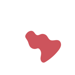 0082ad18-placeholder-1770025084