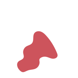 7e385b5d-placeholder-1770005636