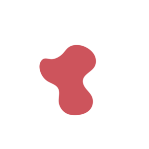 26607b51-placeholder-1769017286