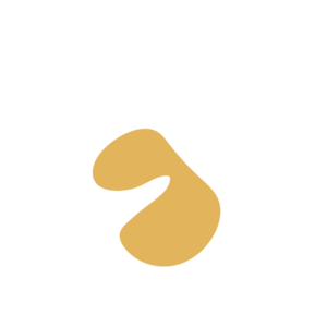 48a7339c-placeholder-1770053560