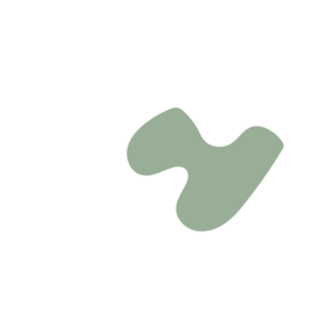 5654dec7-placeholder-1769995562