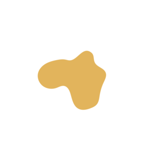 35bc07ca-placeholder-1770055121