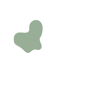 F9816cd5-placeholder-1770006268