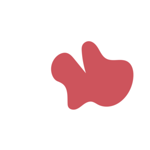 49098a8b-placeholder-1770008393